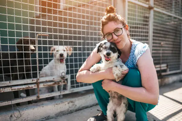Animal attendant une famille